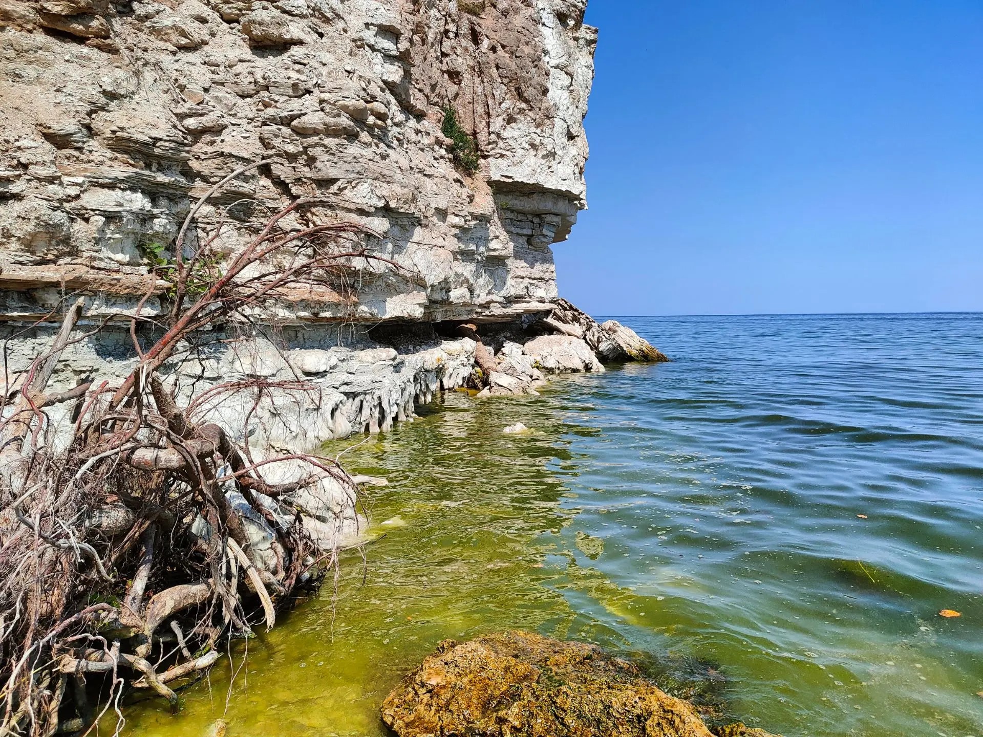 Участнику конкурса необходимо сделать фотографию выбранного водоема 