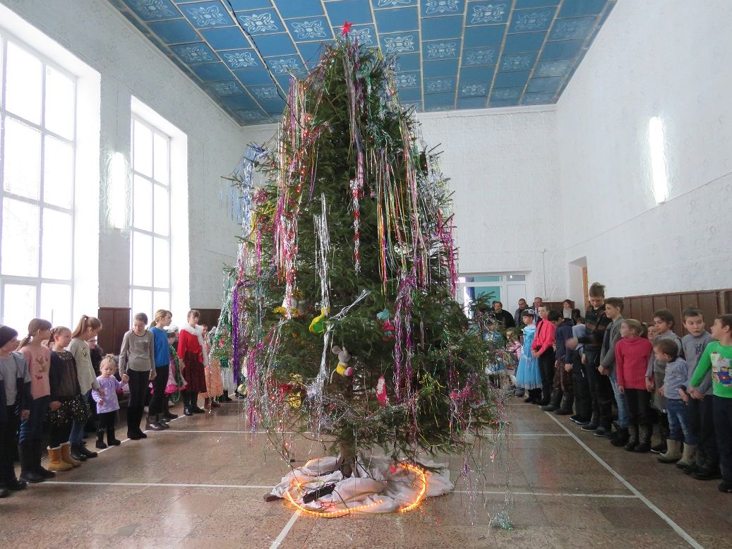 В селе Никольском Спасского района интересно прошла поселенческая елка "Новогодний переполох"
