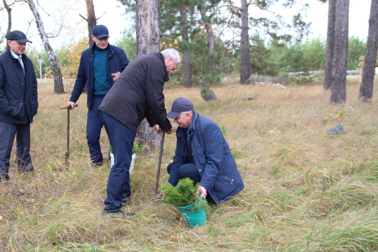В Спасском районе проходит акция «День посадки леса» (ФОТО)