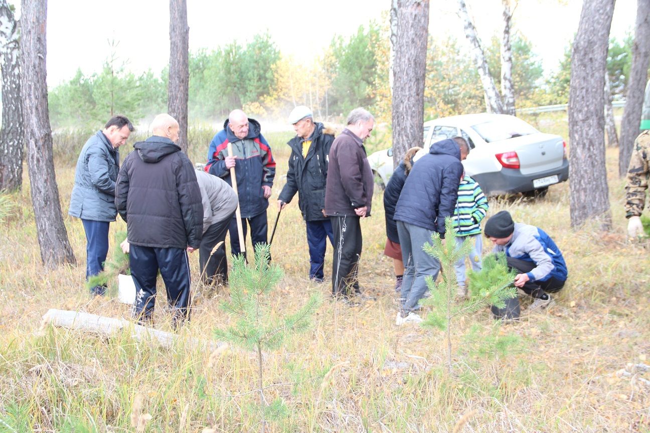 В Спасском районе проходит акция «День посадки леса» (ФОТО)