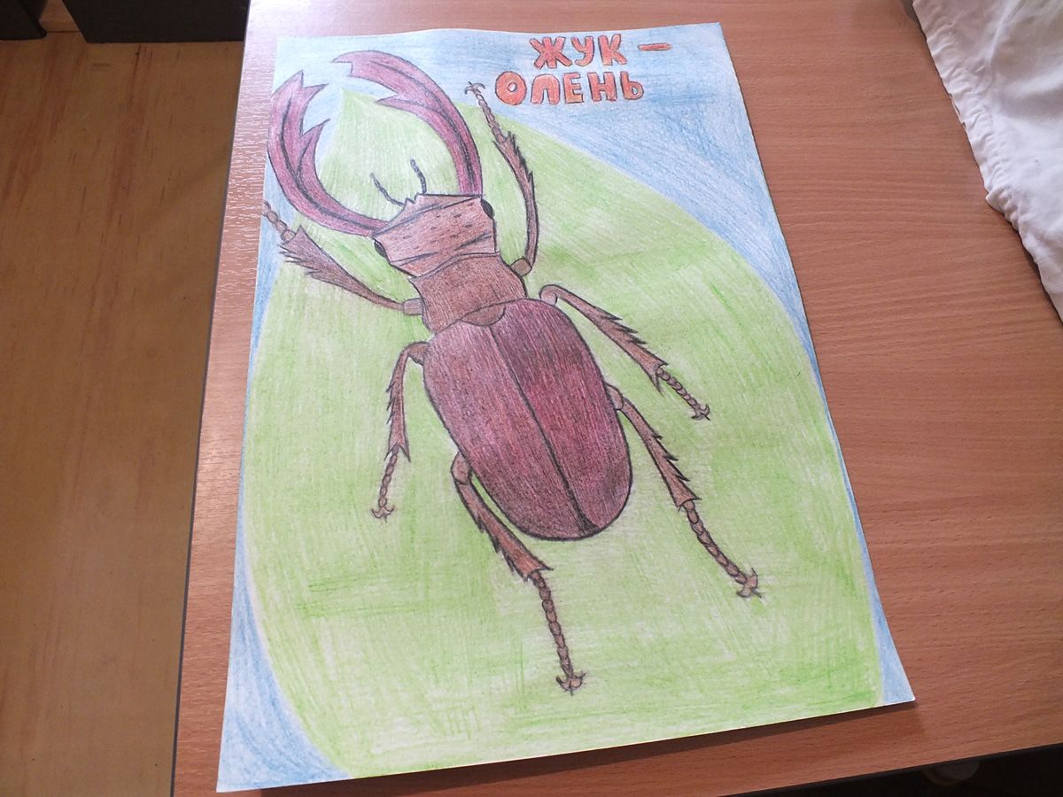 О любви к родному краю  спасские дети рассказали в своих рисунках (ФОТО)
