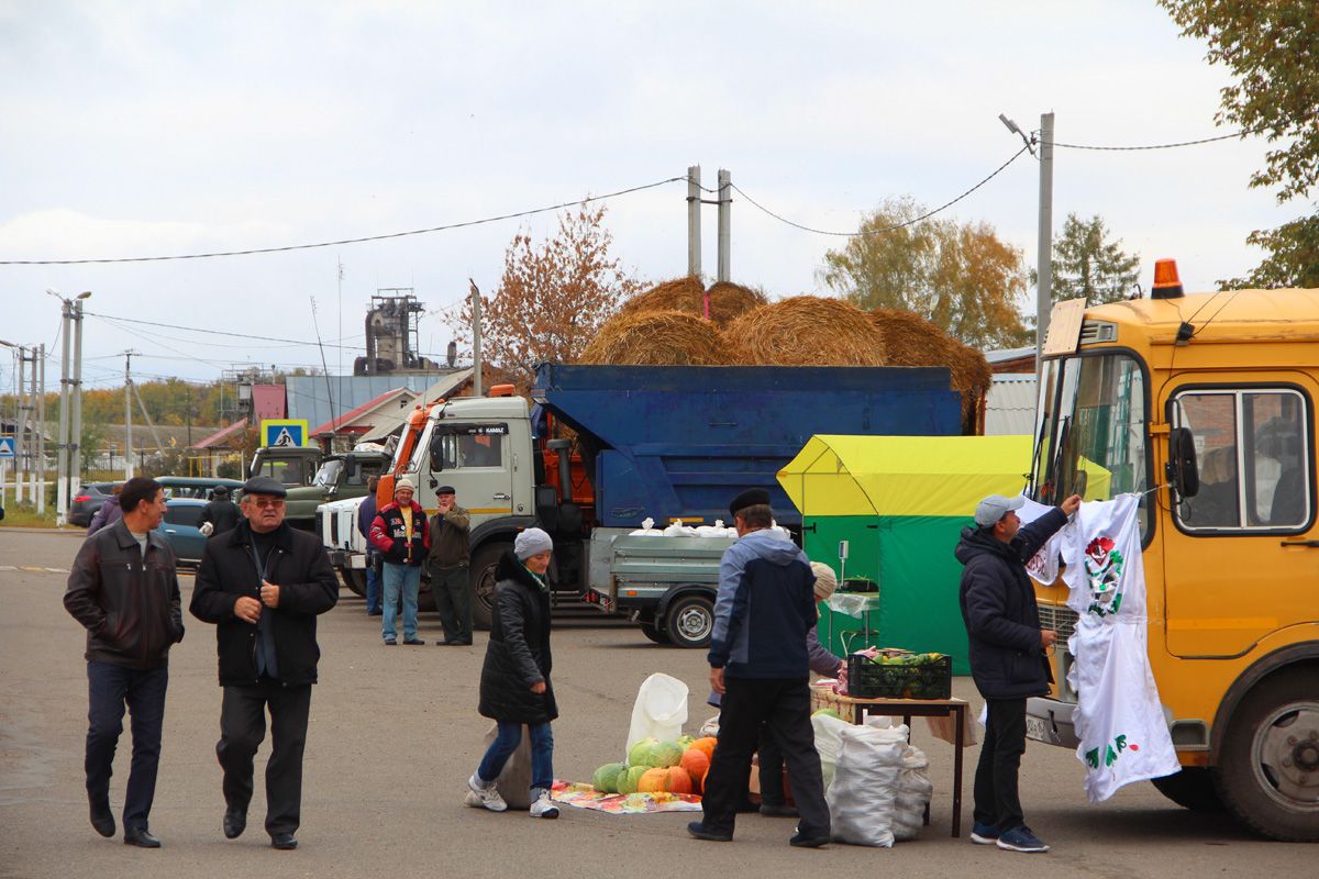 В Болгаре проходит сельскохозяйственная ярмарка