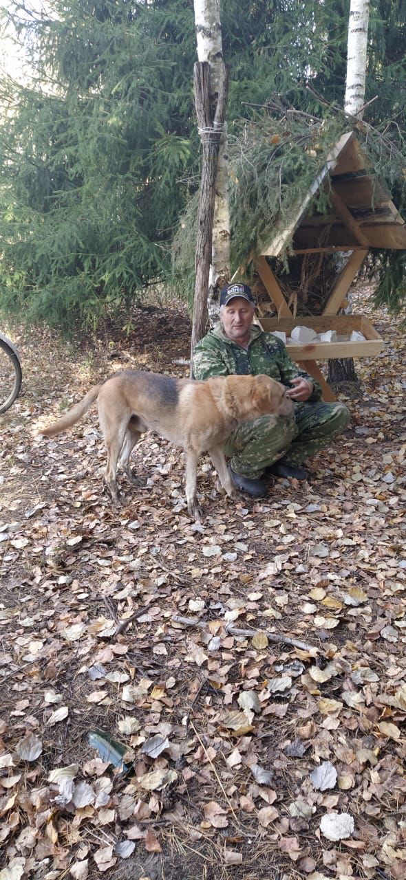 В Спасском районе начались мероприятия по регулированию численности лисиц (ФОТОРЕПОРТАЖ)
