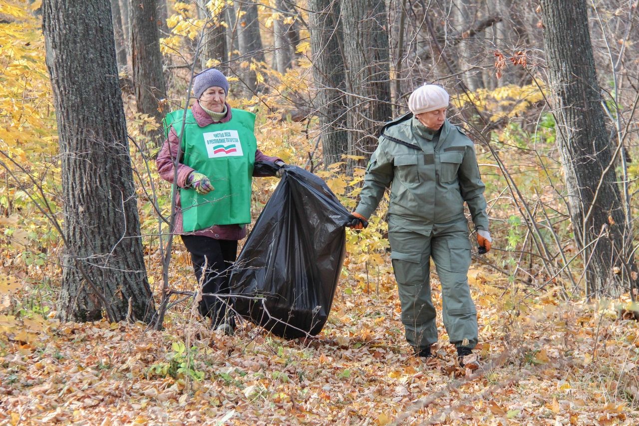 Спасский РДК участвовал в акции "Чистые леса Татарстана"