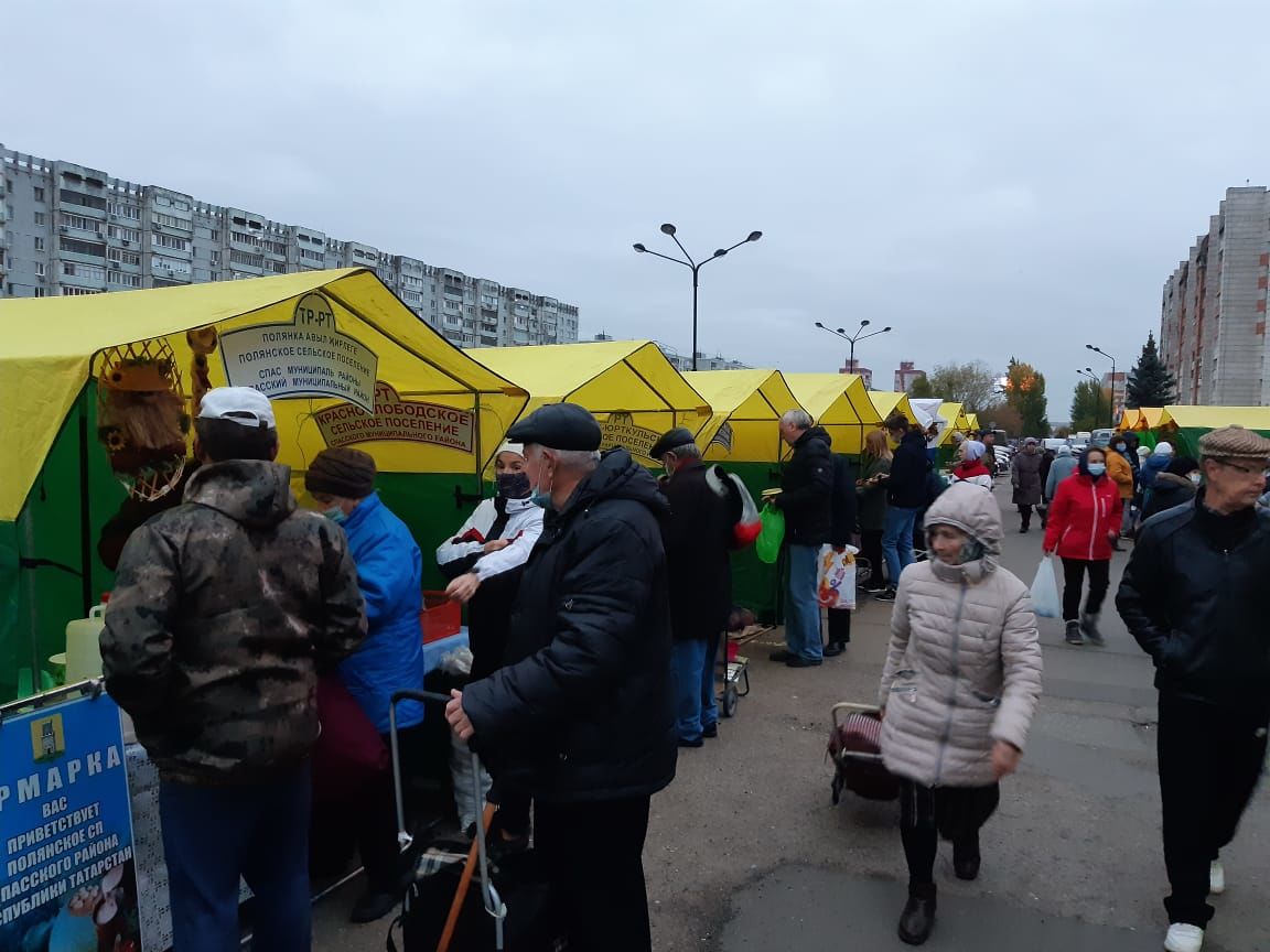Спасский район принял участие в очередной сельскохозяйственной ярмарке в Казани