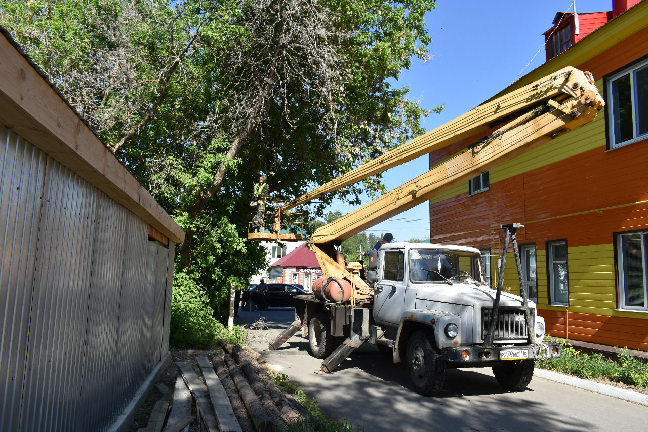 В Болгаре идёт спил старых деревьев | 19.05.2021 | Болгар - БезФормата