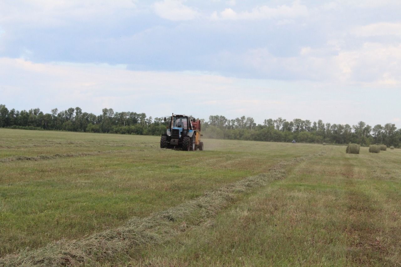 В Спасском районе продолжается укос многолетних трав