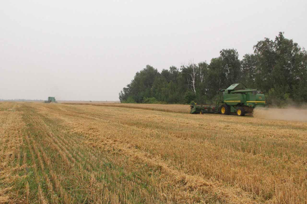 Аграрии Спасского района начали сбор зерновых