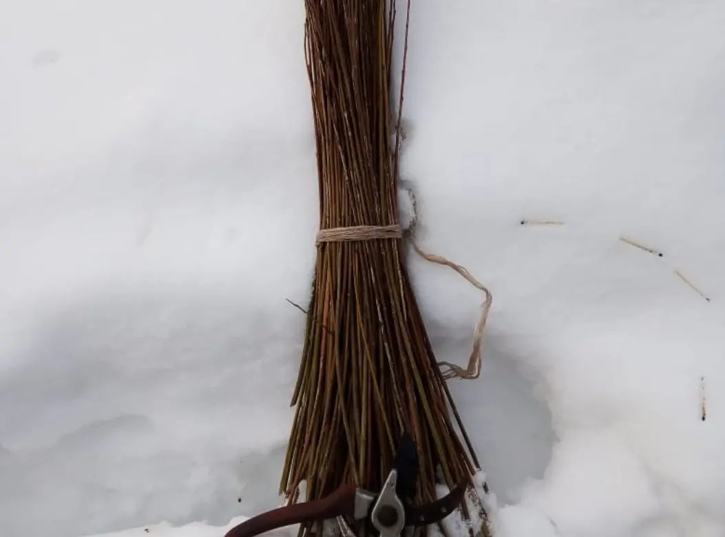 В селе Кузнечиха ребята учатся древнему ремеслу по изготовлению предметов быта из гибких прутьев
