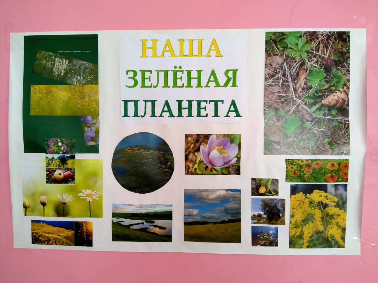 Бураковские школьники узнали историю Красной книги