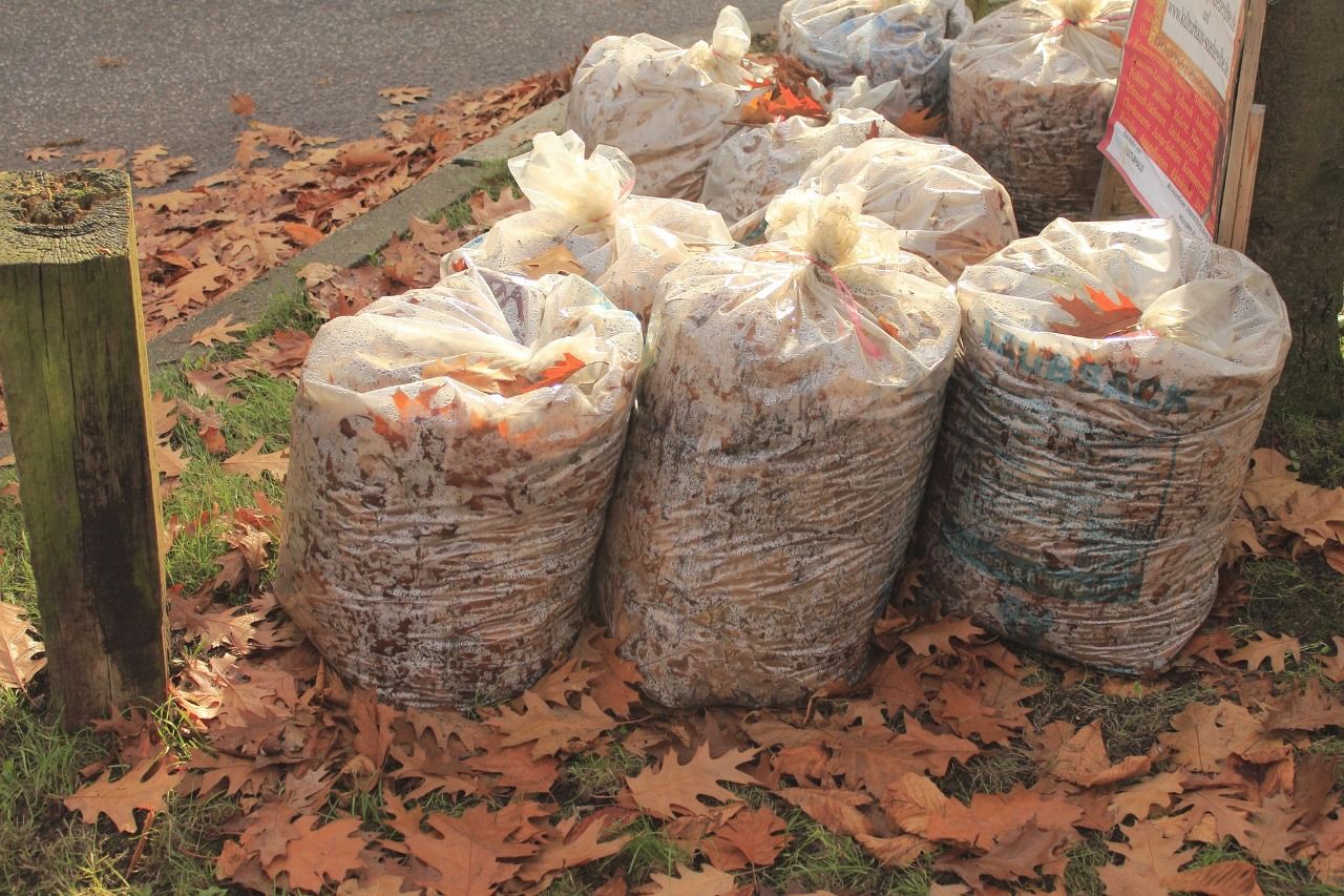 В сёлах Татарстана могут ввести тариф за сбор мусора в мешках