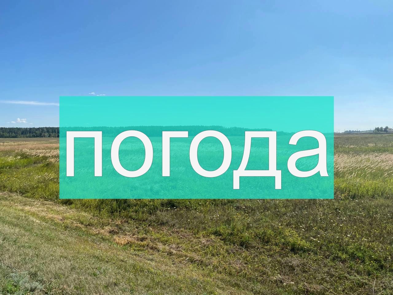 Погода на пятницу 11 августа