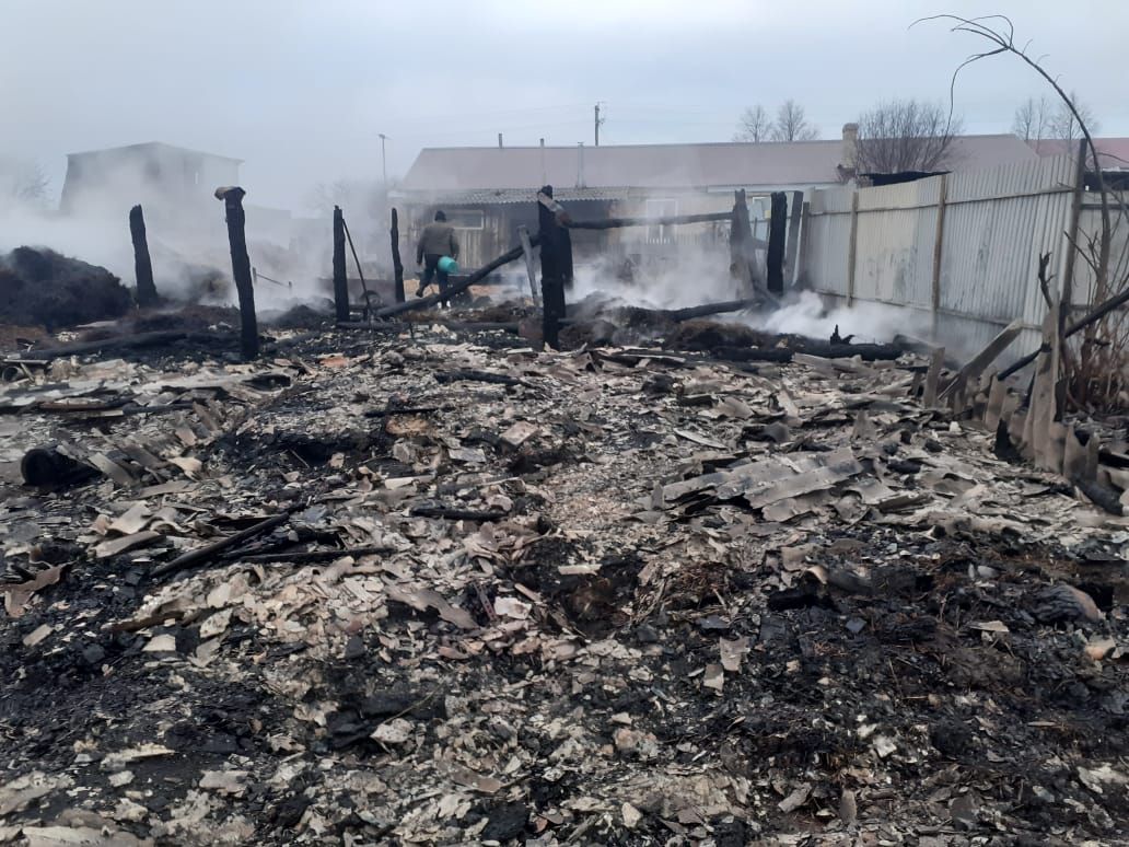 В Спасском районе Татарстана из-за пожара владелица осталась без хозпостроек и домашней птицы