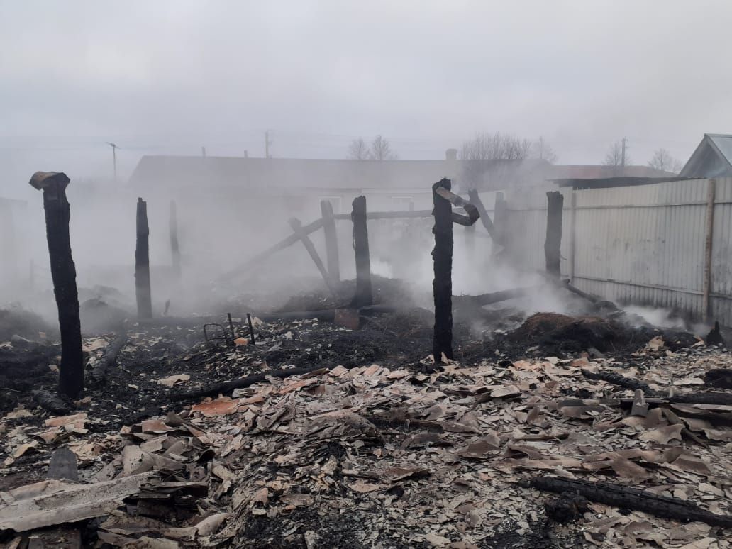 В Спасском районе Татарстана из-за пожара владелица осталась без хозпостроек и домашней птицы