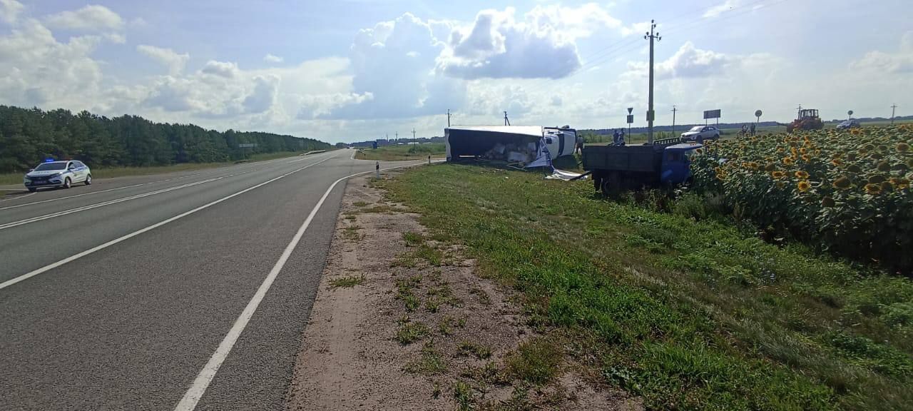 На дорогах Спасского района произошло 6 ДТП за две недели августа