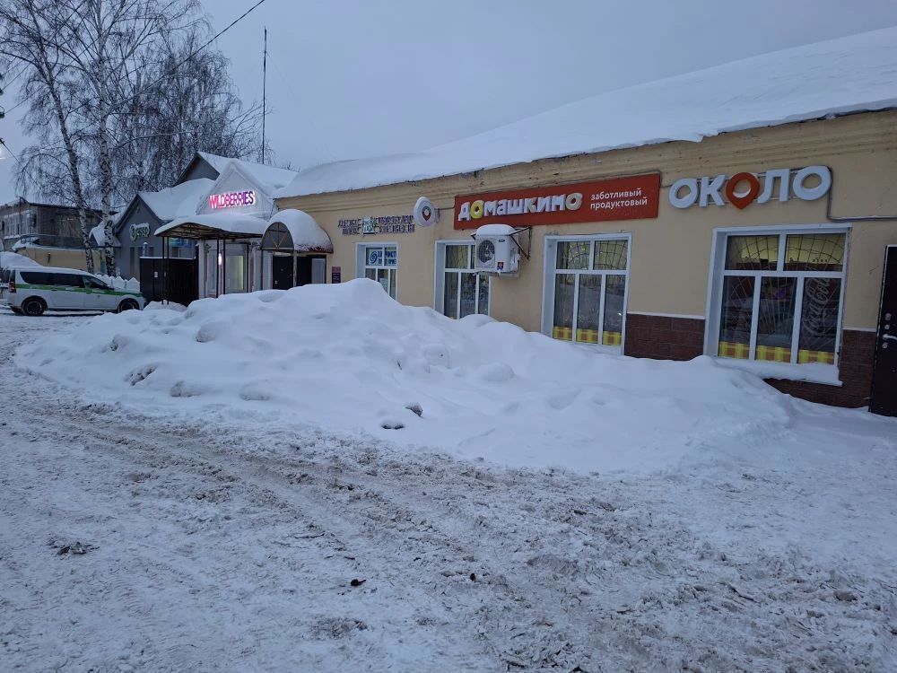Глава Спасского района призвал бизнес к уборке снега у магазинов