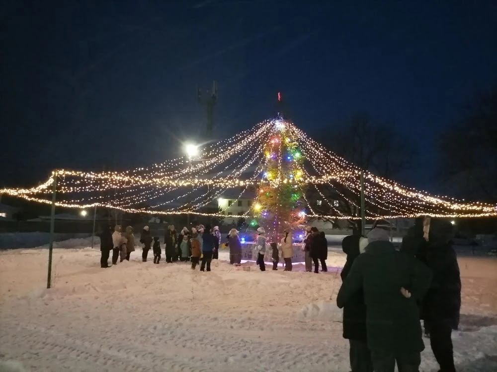 Во дворе на улице Гордеева в Болгаре провели праздничную ёлку
