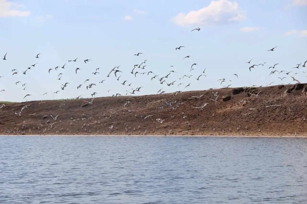 Скауты со всей России увидели природу заказника «Спасский» с воды