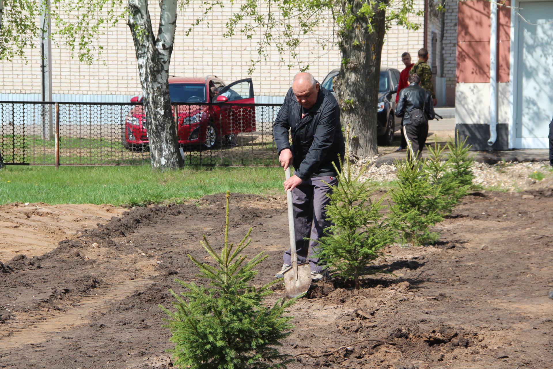 В Болгаре посадили ели в память о погибших бойцах