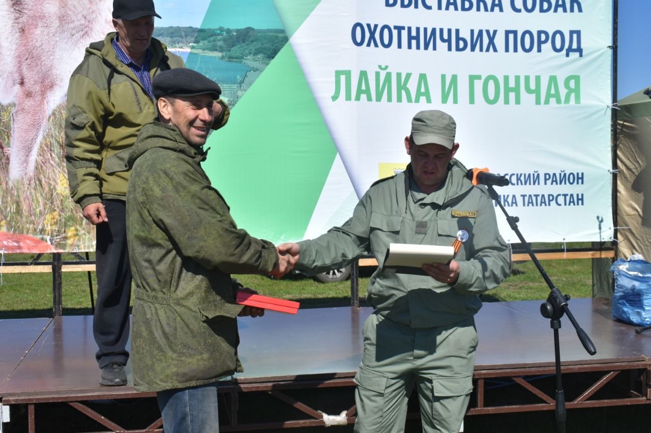 В Спасском районе РТ прошла выставка собак охотничьих пород лайка и гончая