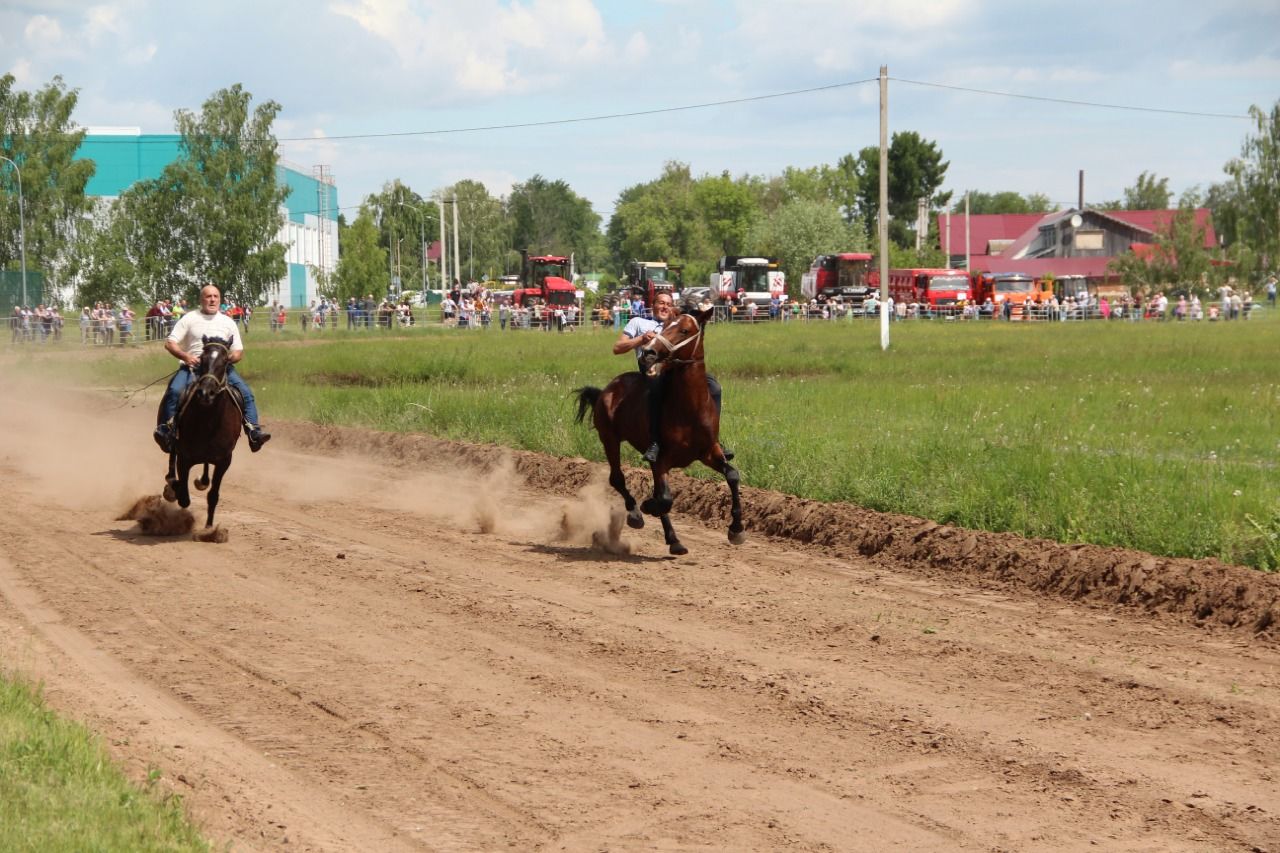 На городском ипподроме состоялись традиционные конные скачки