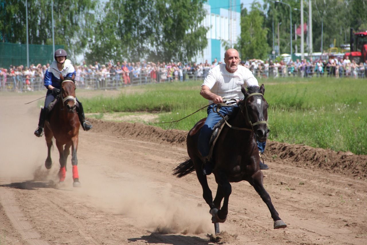 На городском ипподроме состоялись традиционные конные скачки