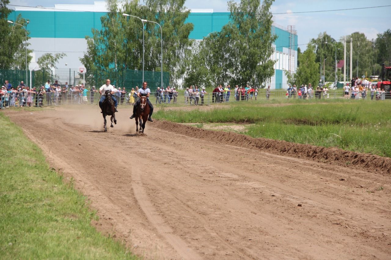 На городском ипподроме состоялись традиционные конные скачки