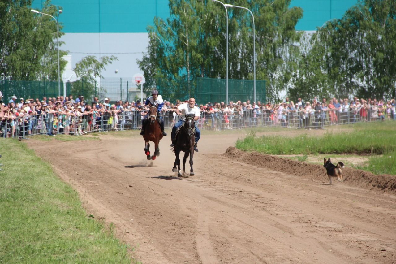 На городском ипподроме состоялись традиционные конные скачки