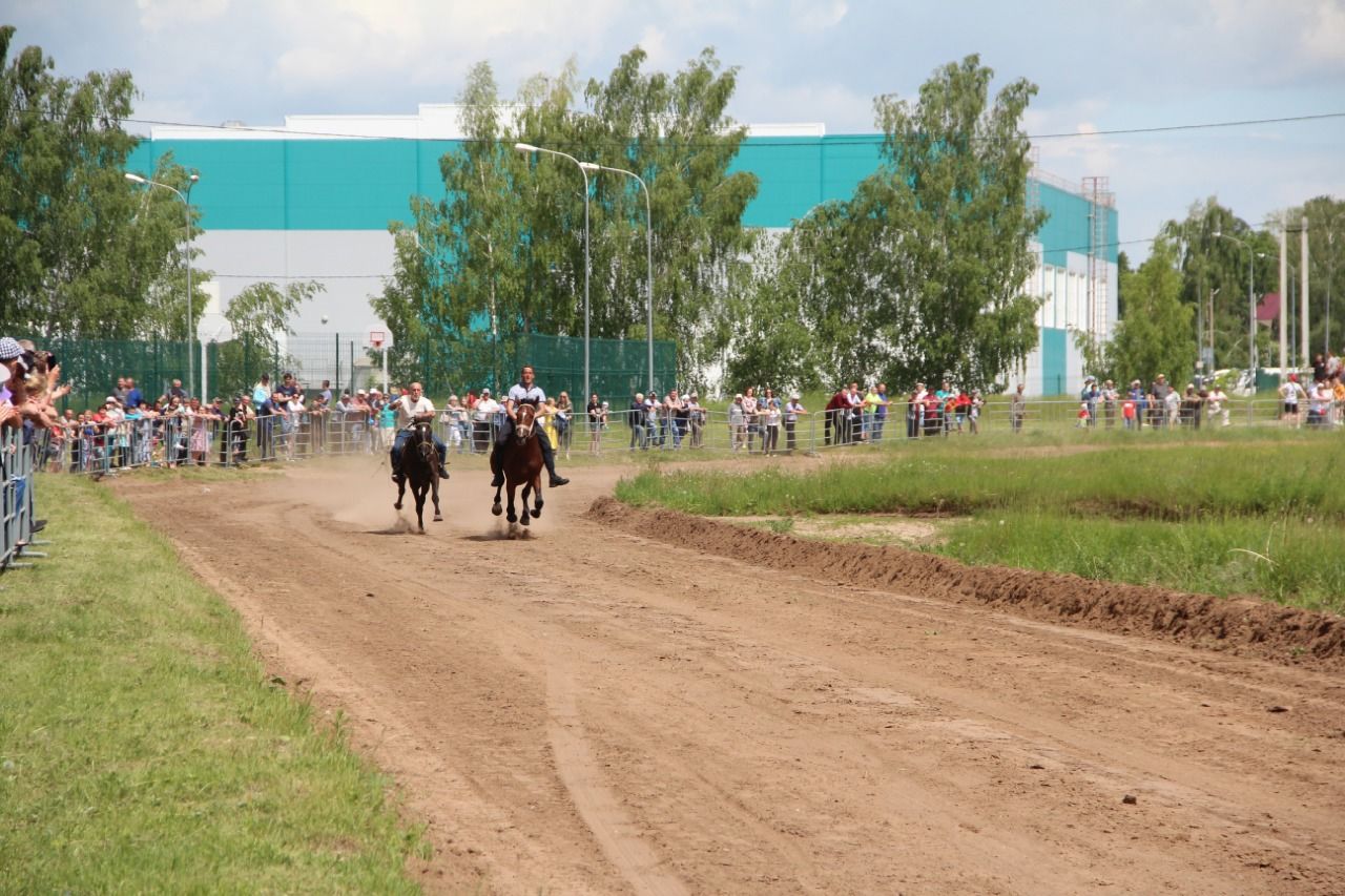 На городском ипподроме состоялись традиционные конные скачки