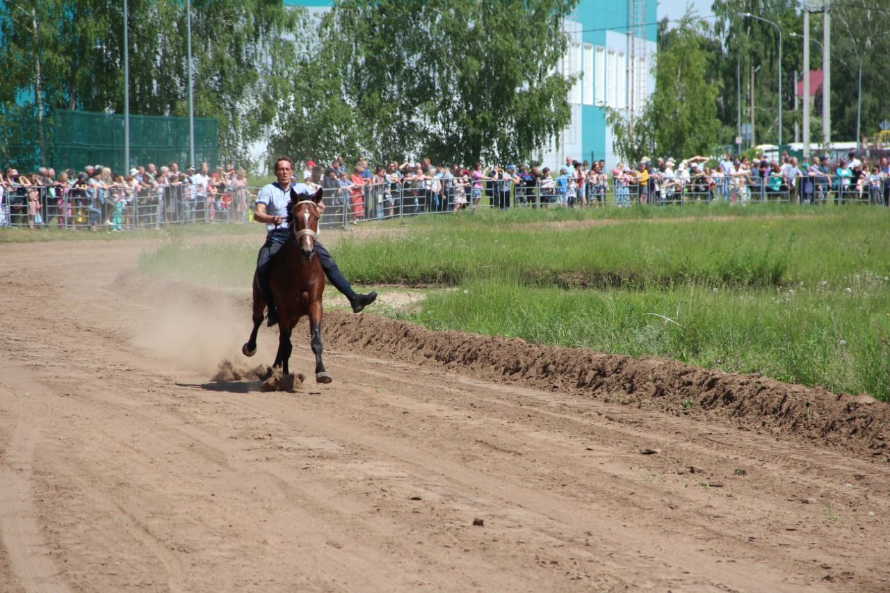 На городском ипподроме состоялись традиционные конные скачки