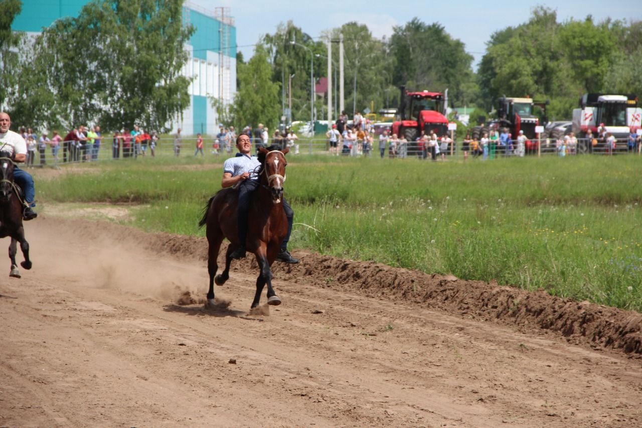 На городском ипподроме состоялись традиционные конные скачки