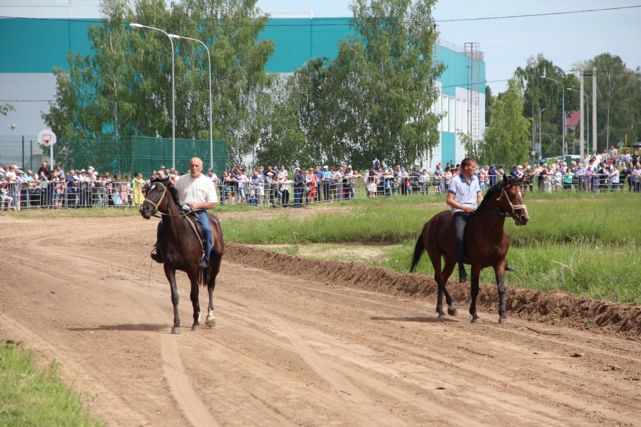 На городском ипподроме состоялись традиционные конные скачки