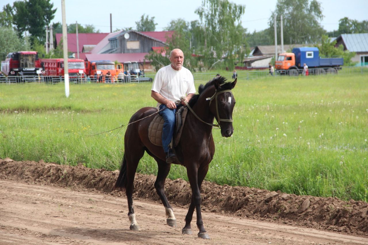 На городском ипподроме состоялись традиционные конные скачки