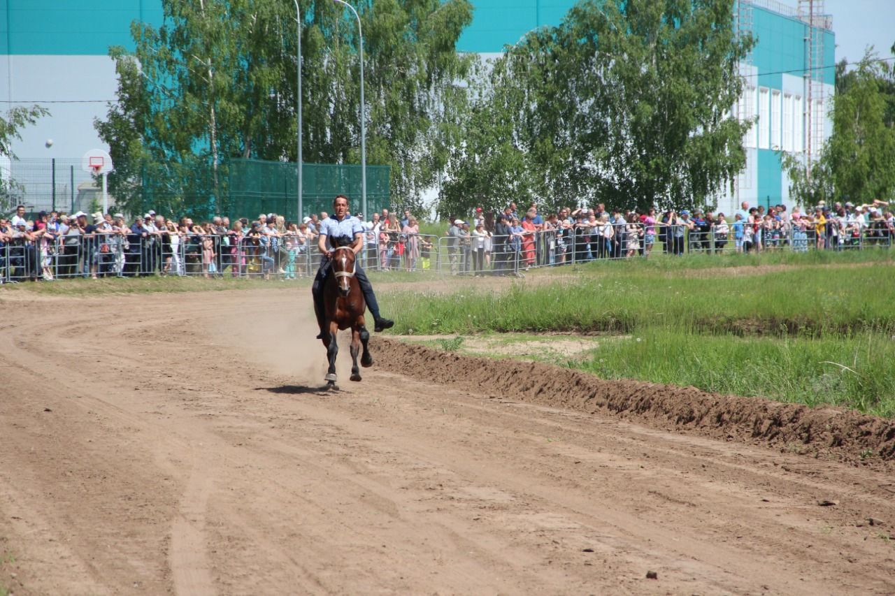 На городском ипподроме состоялись традиционные конные скачки