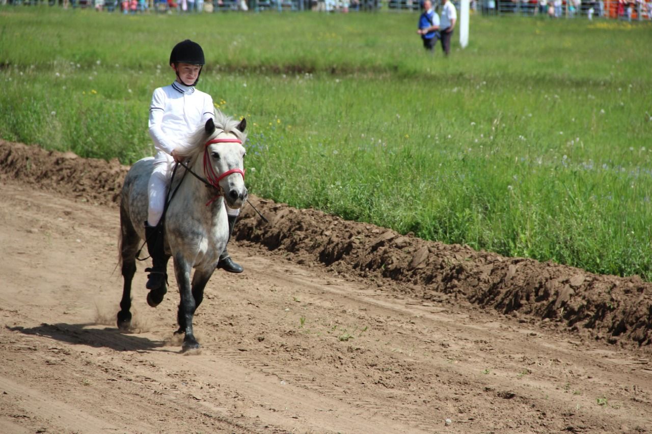 На городском ипподроме состоялись традиционные конные скачки