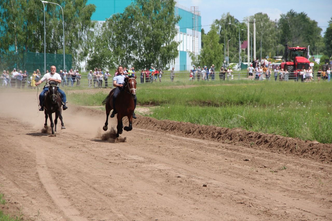 На городском ипподроме состоялись традиционные конные скачки