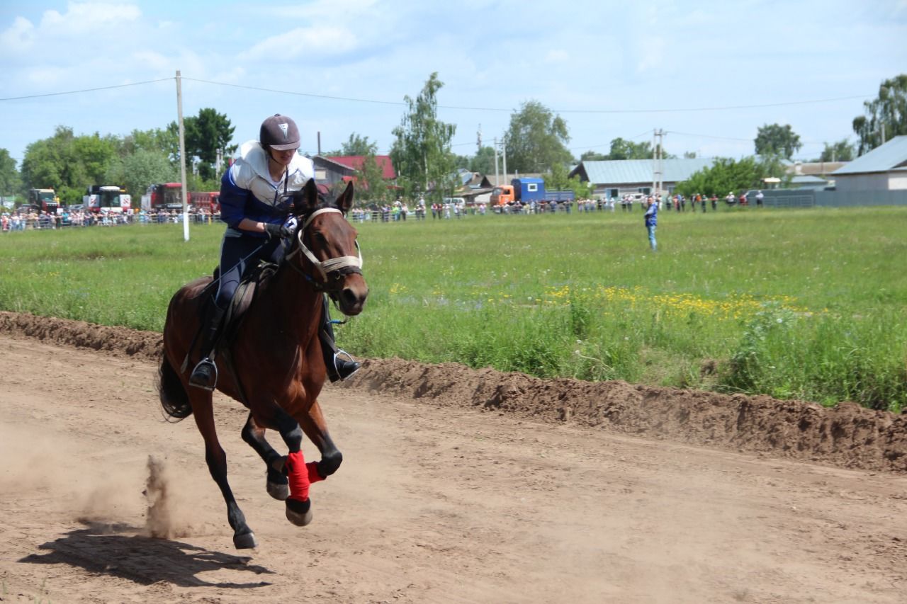 На городском ипподроме состоялись традиционные конные скачки