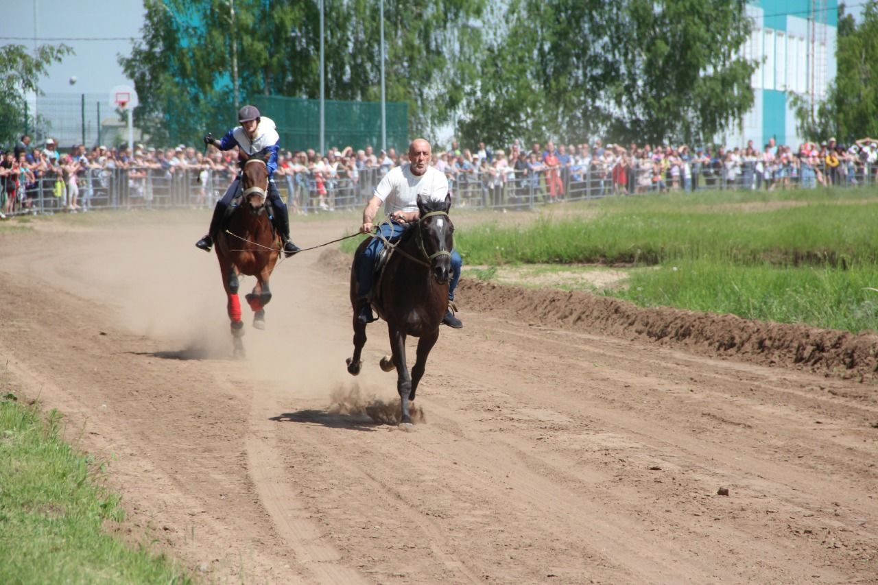 На городском ипподроме состоялись традиционные конные скачки