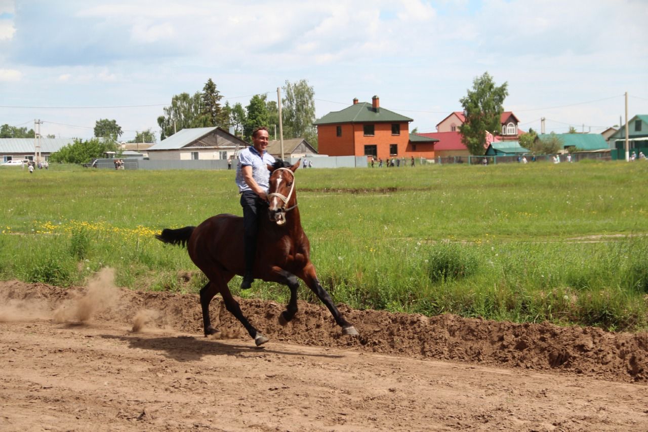 На городском ипподроме состоялись традиционные конные скачки