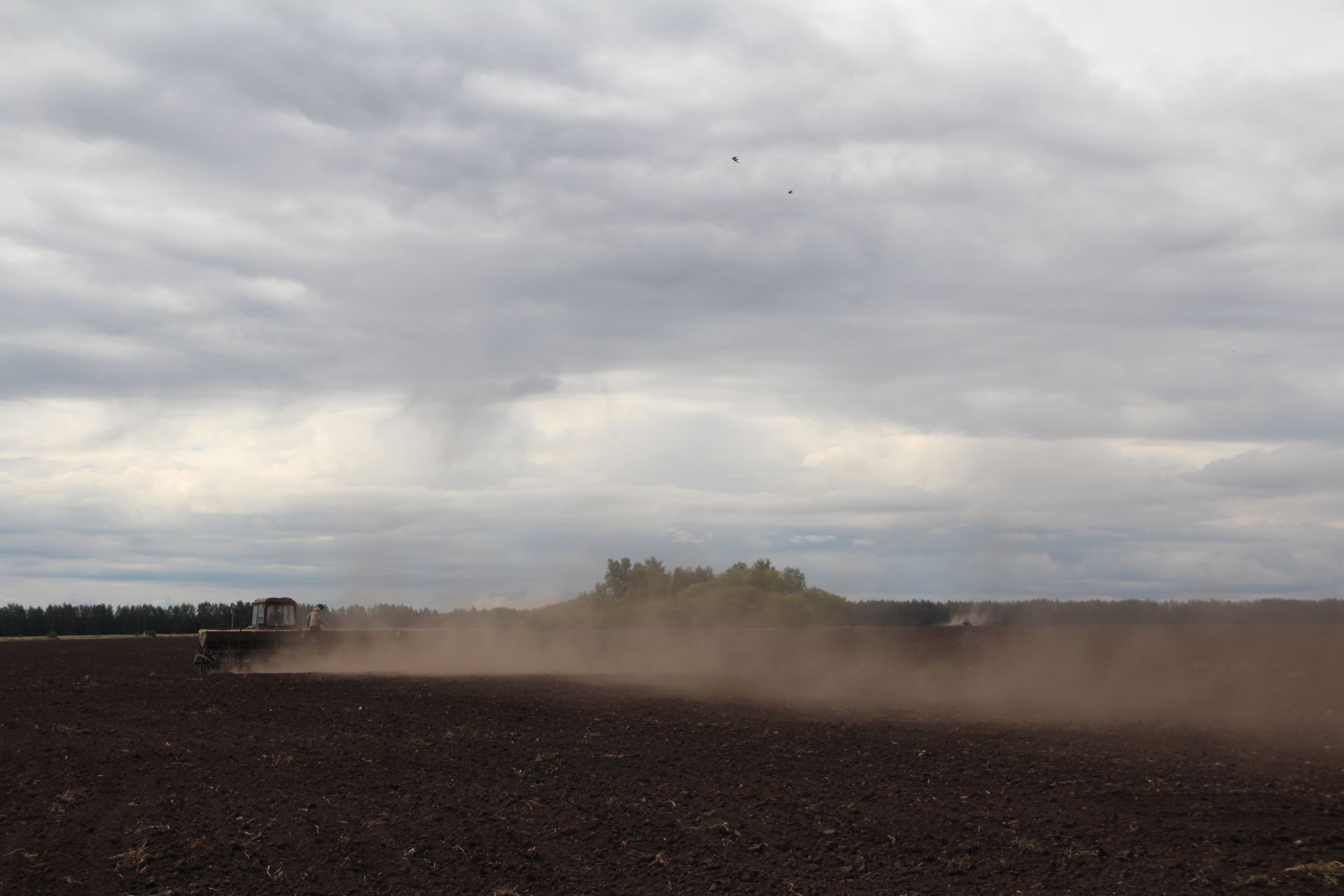 На полях фермера Сергея Юркова полным ходом идёт сев озимой пшеницы