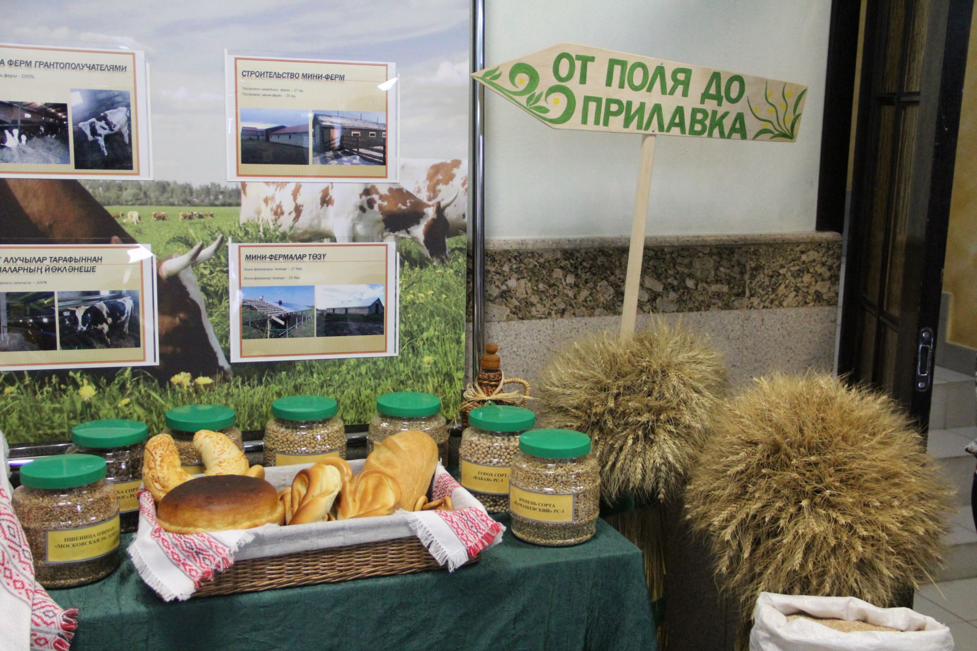 Алдынгылар слеты