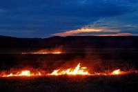 Огонь в поле около Гусихи тушили огнеборцы на прошлой неделе