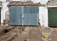 Молочную ферму в Татарстане закрыли из-за бруцеллёза