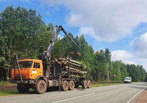 В Спасском районе продолжаются работы по благоустройству дорог и придорожных территорий
