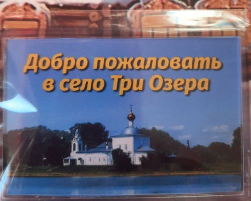 В Трёхозёрской библиотеке состоялся семинар «Сельская библиотека: виртуальный формат»