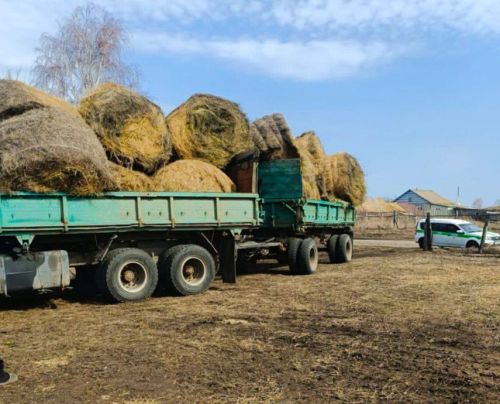 Жителю Спасского района пришлось отдать 6 тонн сена для погашения долга