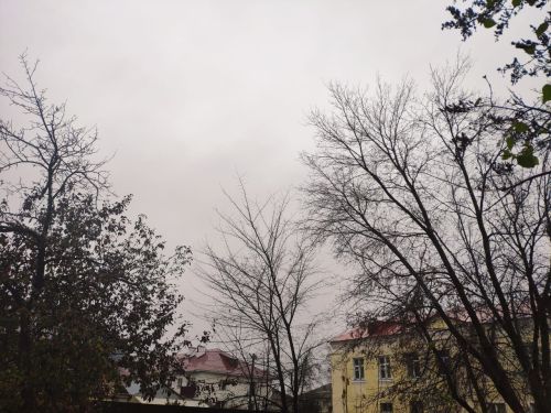 8 ноября – Дмитриев день: приметы и запреты дня