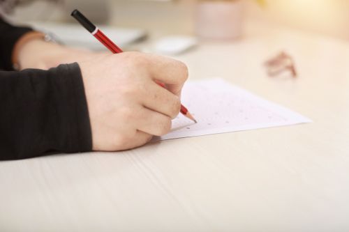 В муниципальном этапе олимпиад примут участие 520 спасских школьников