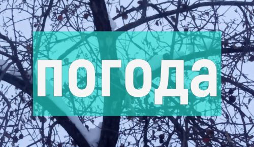 Погода на пятницу 15 декабря