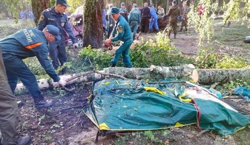 В Марий Эл ураган унес жизни восьми человек